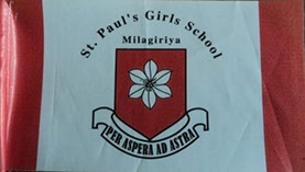 School Flag